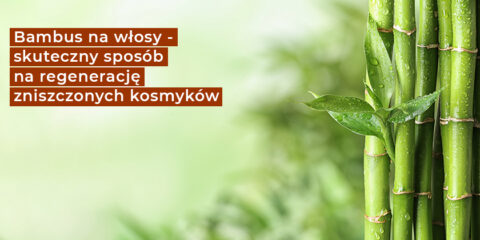 Bambus w pielęgnacji włosów